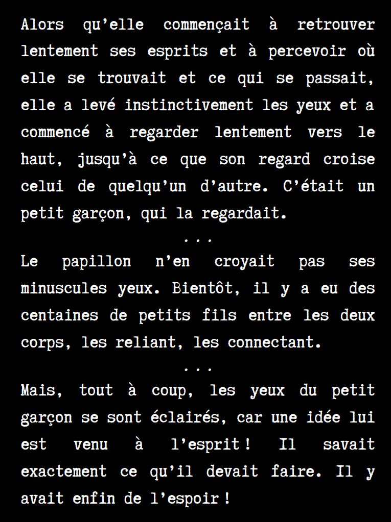 0z_TFC_FR_Ex Extraits du livre La quatorzième cookie par Diam Consta