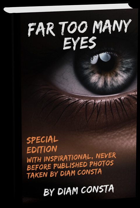 Link to the page dedicated to the book by Diam Consta Far too many eyes